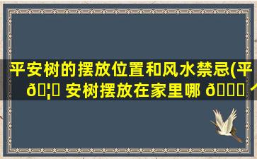 平安树的摆放位置和风水禁忌(平 🦟 安树摆放在家里哪 🐅 个位置好)